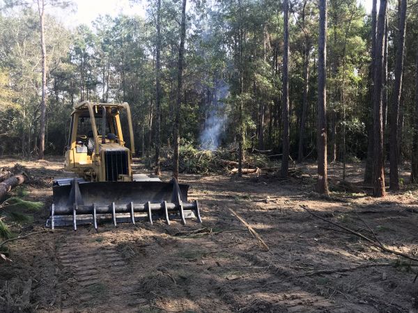 Toledo Land Clearing