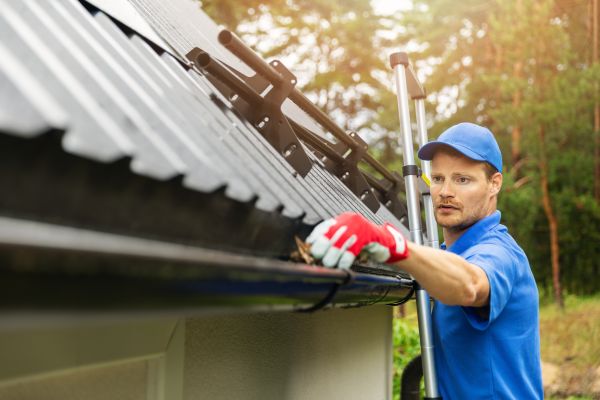 Toledo Gutter Cleaning